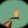 Sparkle Dun Tricos